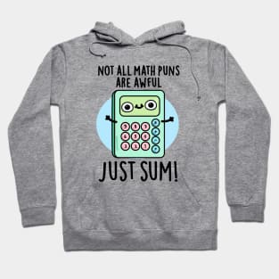 Not All Math Puns Are Awful Just Sum Cute Pun Hoodie